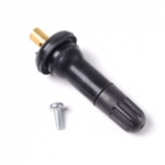 TPMS Service Kit Snap-in Valve GM Bag (10)