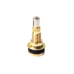 Tubeless Straight Air Water Ag. Valve TR618A Priced Each